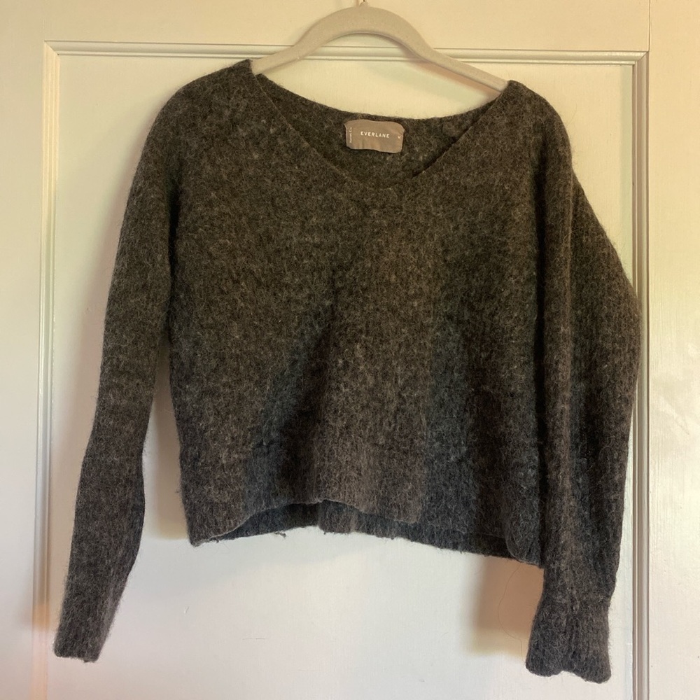 Everlane V-neck Alpaca Knit Blend Sweater